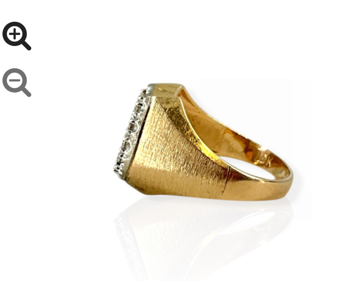 Horseshoe Ring W/Florentine Gold Finish size 9 - 6g 10k