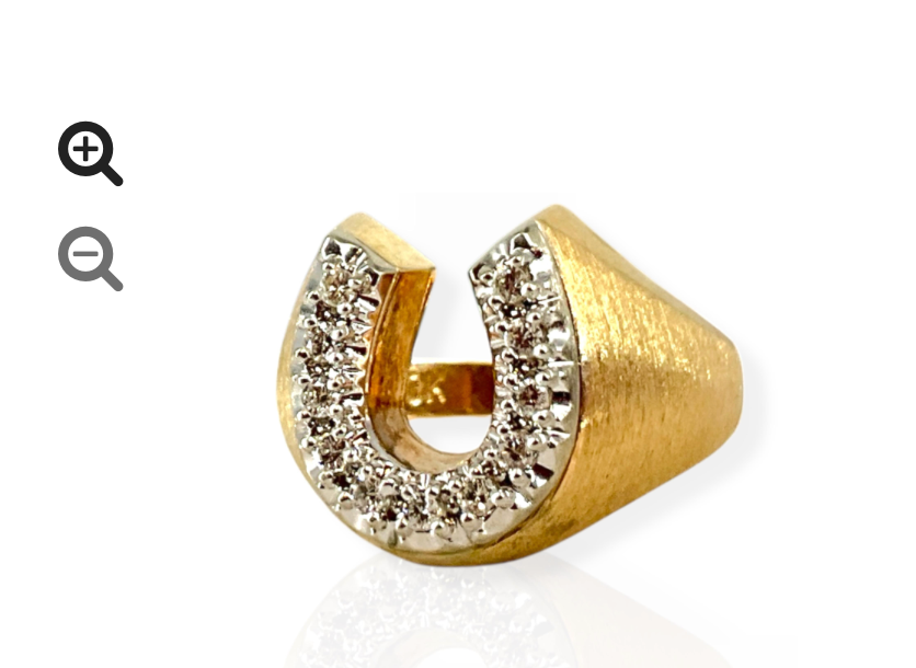 Horseshoe Ring W/Florentine Gold Finish size 9 - 6g 10k