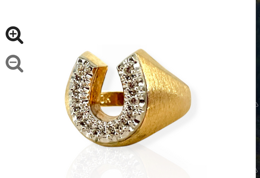 Horseshoe Ring W/Florentine Gold Finish size 9 - 6g 10k