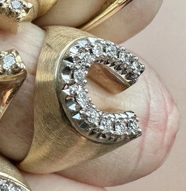 Horseshoe Ring W/Florentine Gold Finish size 9 - 6g 10k