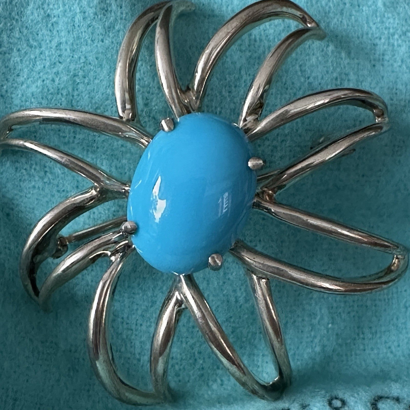 Tiffany & Co Silver Fireworks Turquoise Flower Starfish Brooch Box Pouch