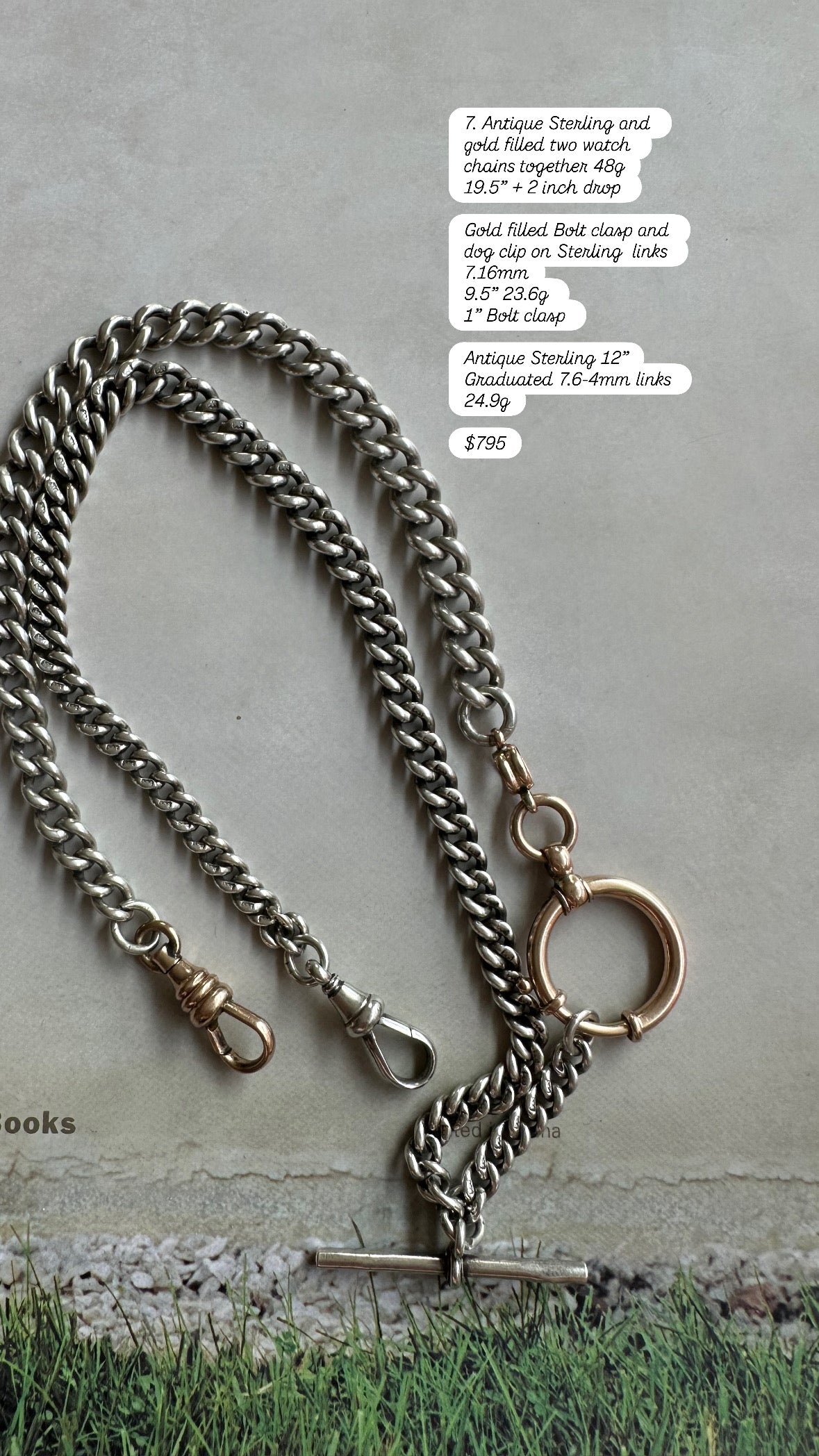 Antique Sterling chubby Albert watch chain with rosey  bolt clasp and dog clip